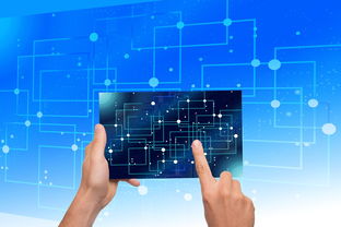 开云平台-NBA联盟品牌资产价值提升路径研究，nba联盟logo设计理念分析