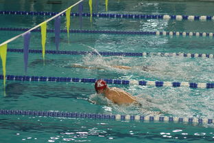 KAIYUNAPP-亚洲游泳锦标赛中国勇夺多金,亚洲游泳联合会官方网 第3张 KAIYUNAPP-亚洲游泳锦标赛中国勇夺多金,亚洲游泳联合会官方网 第3张