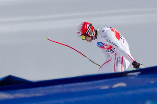 开云官方网站-全国高校滑雪邀请赛燃爆冬日激情,全国滑雪锦标赛 第2张 开云官方网站-全国高校滑雪邀请赛燃爆冬日激情,全国滑雪锦标赛 第2张