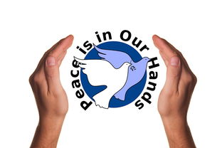 开云官方网页登录-决赛教练战术对决吸引全球关注，比赛中教练挑战是什么意思